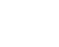 logo-chevrolet-fieros